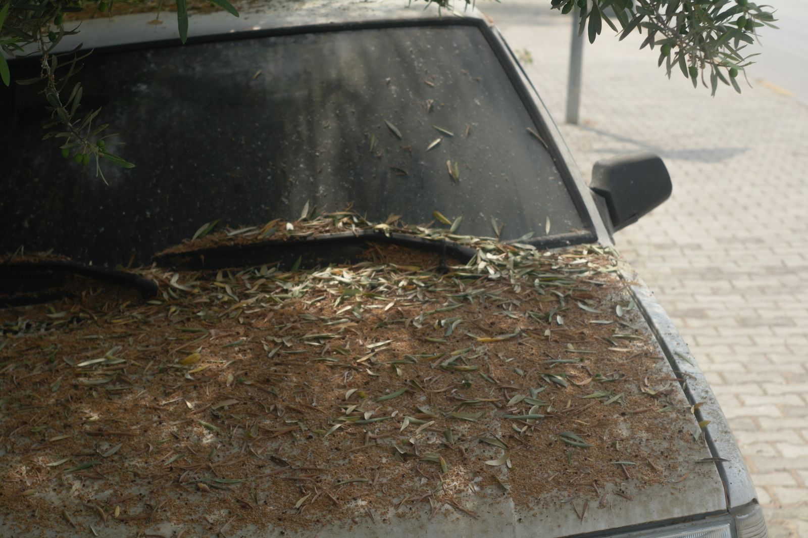 Dust- and debris-covered car before detailing