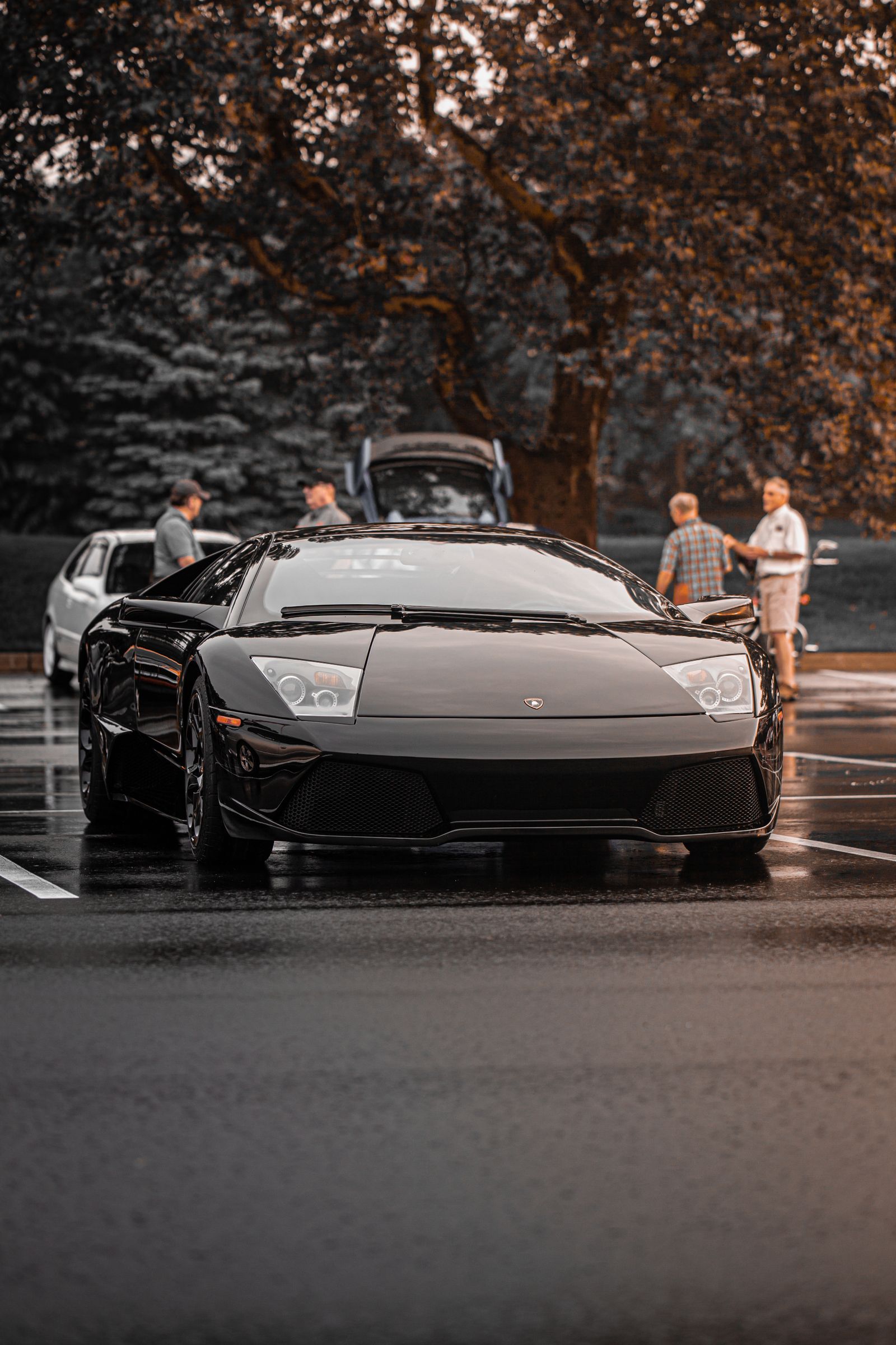 Polished black performance car photographed on wet pavement